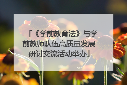 《学前教育法》与学前教师队伍高质量发展研讨交流活动举办