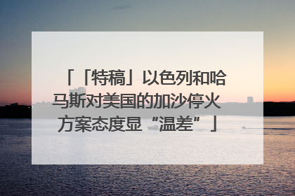 「特稿」以色列和哈马斯对美国的加沙停火方案态度显“温差”