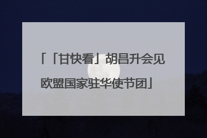 「甘快看」胡昌升会见欧盟国家驻华使节团