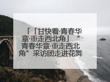 「甘快看·青春华章·重走西北角」“青春华章·重走西北角”采访团走进花舞南山 探寻天水乡村振兴之路