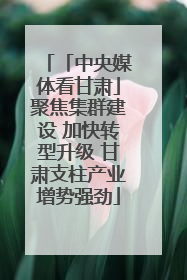 「中央媒体看甘肃」聚焦集群建设 加快转型升级 甘肃支柱产业增势强劲