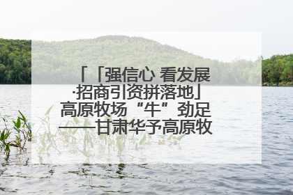 「强信心 看发展·招商引资拼落地」高原牧场“牛”劲足——甘肃华予高原牧场高标准奶牛肉牛养殖项目一线见闻