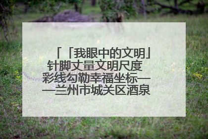 「我眼中的文明」针脚丈量文明尺度 彩线勾勒幸福坐标——兰州市城关区酒泉路街道办事处