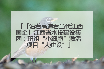 「沿着高速看当代江西国企」江西省水投建设集团：班组“小细胞”激活项目“大建设”