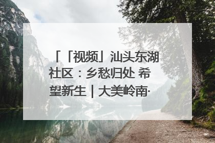 「视频」汕头东湖社区：乡愁归处 希望新生｜大美岭南·百村焕新记