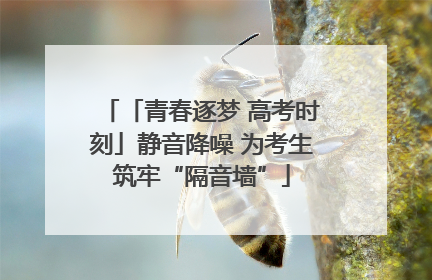 「青春逐梦 高考时刻」静音降噪 为考生筑牢“隔音墙”