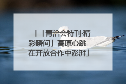 「青洽会特刊·精彩瞬间」高原心跳 在开放合作中澎湃