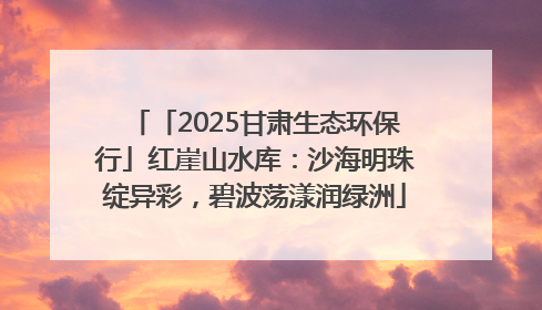 「2025甘肃生态环保行」红崖山水库：沙海明珠绽异彩，碧波荡漾润绿洲