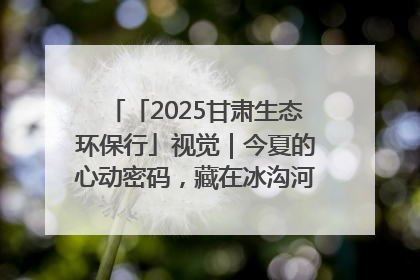 「2025甘肃生态环保行」视觉｜今夏的心动密码，藏在冰沟河的潋滟波光里