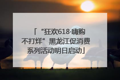 “狂欢618·嗨购不打烊”黑龙江促消费系列活动明日启动