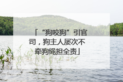 “狗咬狗”引官司，狗主人屡次不牵狗绳担全责