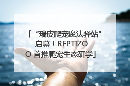 “瑞皮爬宠魔法驿站” 启幕！REPTIZOO 首推爬宠生态研学