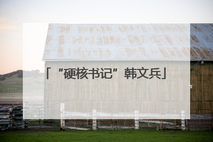 “硬核书记”韩文兵