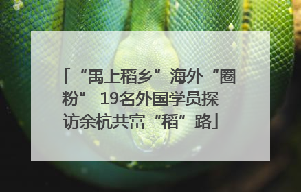 “禹上稻乡”海外“圈粉” 19名外国学员探访余杭共富“稻”路