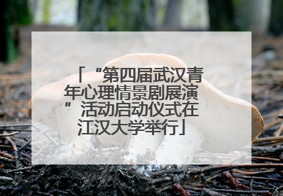 “第四届武汉青年心理情景剧展演”活动启动仪式在江汉大学举行