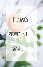 “紫色花海”引客来