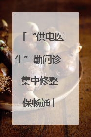 “供电医生”勤问诊 集中修整保畅通