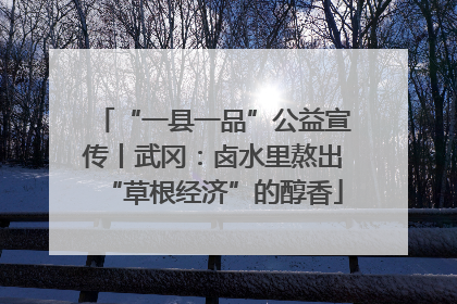 “一县一品”公益宣传丨武冈：卤水里熬出“草根经济”的醇香