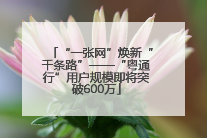 “一张网”焕新“千条路”——“粤通行”用户规模即将突破600万
