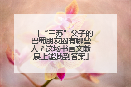 “三苏”父子的巴蜀朋友圈有哪些人？这场书画文献展上能找到答案