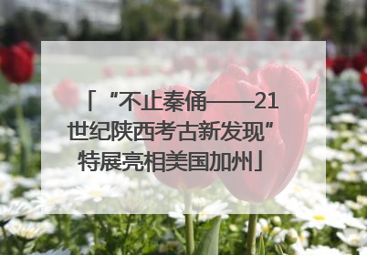 “不止秦俑——21世纪陕西考古新发现”特展亮相美国加州