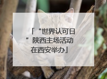 “世界认可日”陕西主场活动在西安举办