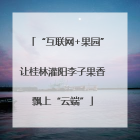 “互联网+果园”让桂林灌阳李子果香飘上“云端”