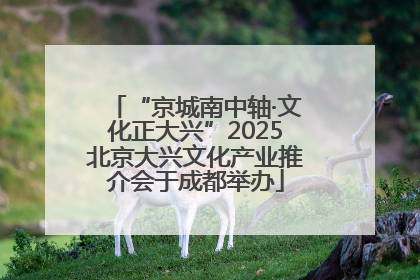 “京城南中轴·文化正大兴”2025北京大兴文化产业推介会于成都举办