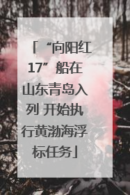 “向阳红17”船在山东青岛入列 开始执行黄渤海浮标任务