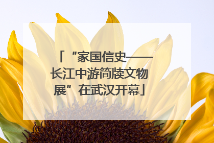 “家国信史——长江中游简牍文物展”在武汉开幕
