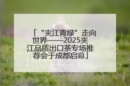 “夹江青绿”走向世界——2025夹江品质出口茶专场推荐会于成都启幕