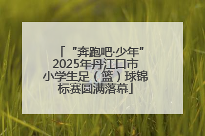“奔跑吧·少年”2025年丹江口市小学生足（篮）球锦标赛圆满落幕