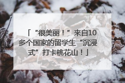 “很美丽!”来自10多个国家的留学生“沉浸式”打卡桃花山!