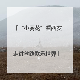 “小葵花”看西安走进丝路欢乐世界
