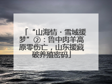 “山海情・雪域援梦”②：鲁中肉羊高原零伤亡，山东援藏破养殖密码