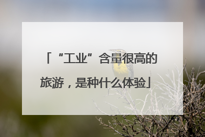 “工业”含量很高的旅游，是种什么体验