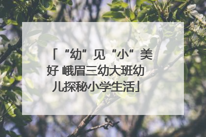 “幼”见“小”美好 峨眉三幼大班幼儿探秘小学生活