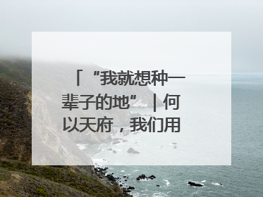 “我就想种一辈子的地”｜何以天府，我们用粮食作答②