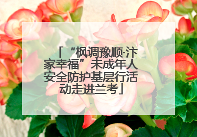 “枫调豫顺·汴家幸福”未成年人安全防护基层行活动走进兰考