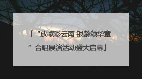 “放歌彩云南 银龄颂华章”合唱展演活动盛大启幕