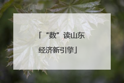 “数”读山东经济新引擎