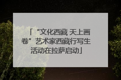 “文化西藏 天上画卷”艺术家西藏行写生活动在拉萨启动