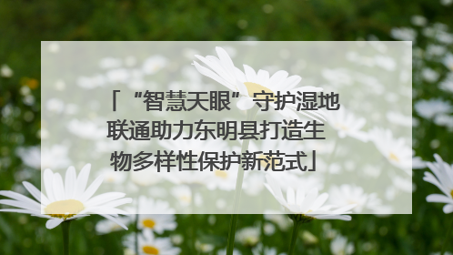 “智慧天眼”守护湿地 联通助力东明县打造生物多样性保护新范式