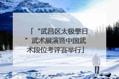 “武昌区太极拳日”武术展演暨中国武术段位考评赛举行