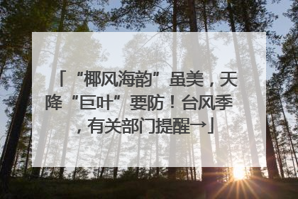 “椰风海韵”虽美，天降“巨叶”要防！台风季，有关部门提醒→