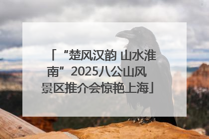 “楚风汉韵 山水淮南”2025八公山风景区推介会惊艳上海