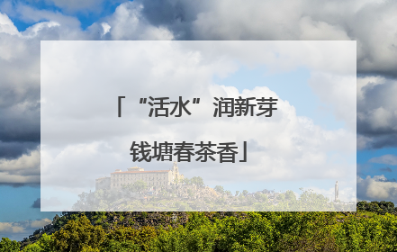 “活水”润新芽 钱塘春茶香