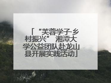 “芙蓉学子·乡村振兴” 湘潭大学公益团队赴龙山县开展实践活动
