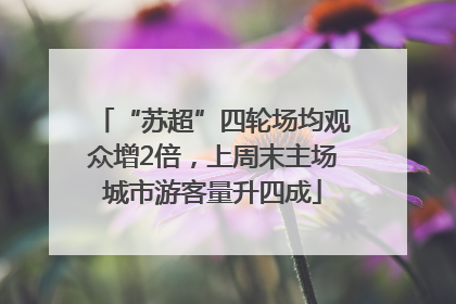 “苏超”四轮场均观众增2倍，上周末主场城市游客量升四成