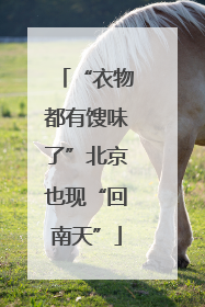 “衣物都有馊味了”北京也现“回南天”